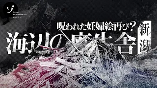 呪われた妊婦絵再び？新潟の謎多き海辺の廃牛舎に迫る！