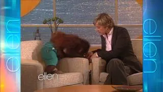 Memorable Moment: Precious the Orangutan