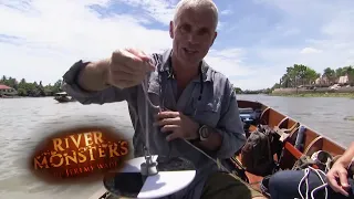 How To Catch A GIANT Stingray | STINGRAY | River Monsters