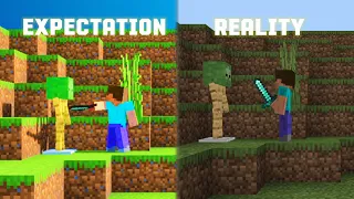 Minecraft Expectation vs Reality.