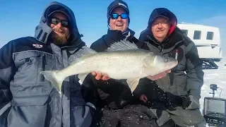 Lake Winnipeg Greenbacks - In-Depth Outdoors TV Season 13, Episode 19