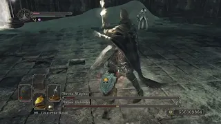 Dark Souls 2 SotFS - Throne Watcher & Throne Defender SL1 NG+7 CoC WL0 No Infusion (Solo/Melee)