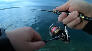 Adriatic Sea fishing in Spring on Duo and Major Craft lures