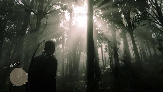 Red Dead Redemption 2 - Whispering Forest