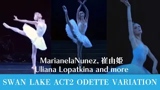 【厳選バレエ】マリアネラ・崔由姫 5人のバレリーナ  オデットVa.| Who is your favorite  ballerina in Swan Lake Odette variation?