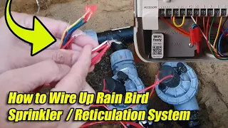 How to Wire Up Rain Bird Sprinkler  / Reticulation System - Master & Multi Stations/Zones