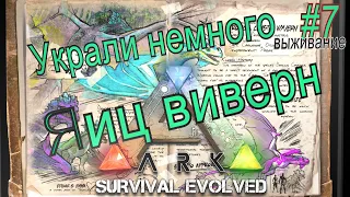 ark выживание #7 - Путешествии за яйцами виверн / Вылечили и усыпили рекса