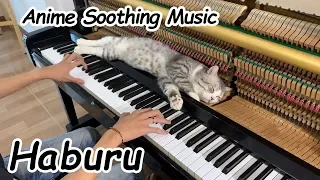 Anime Soothing Music for MEOW (Haburu) | Listen to Sleep Immediately