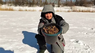 Ловля РАКОВ зимой.Ведро раков из подо льда!!!Мы знаем где раки зимуют!!!