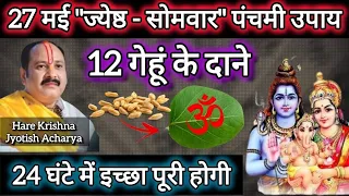 27 मई सोमवार पंचमी उपाय |गेहूं के दाने से इच्छा करिए पूरी|#somvar ke upay pradeep Mishra #viral#shiv