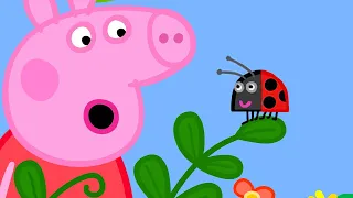 Peppa Finds A Ladybug! 🐞 | Peppa Pig Official Full Episodes