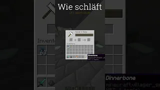 Wie schläft Dinnerbone Villager in Minecraft #shorts