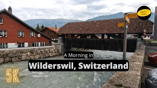 The Beautiful Swiss Village of Wilderswil | 5k Video