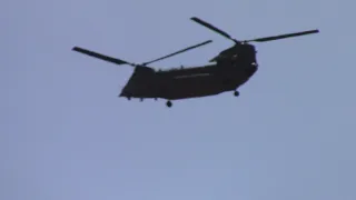 3 RAF Chinooks(From RAF Odiham) Do a Low Pass Over My House!