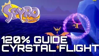Spyro The Dragon (Reignited) 120% Guide CRYSTAL FLIGHT (ALL GEMS, EGGS, DRAGONS...)