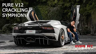 Pure V12 Crackling Symphony! - Lamborghini Aventador S - 4K