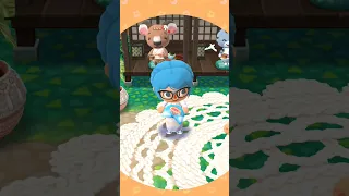 Animal Crossing - Opening Rudy's Airship Cookie #animalcrossingpocketcamp #animalcrossing #acpc