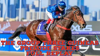 The Group Three Guineas Prelude Stakes Won By Steparty | Southport Tycoon 2nd | Scentify 3rd