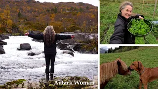 Ein Tag im Herbst mit Ausflug in die Berge | Mein langsames Leben als Selbstversorger am See