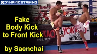 Fake Body Kick to Front Kick by Saenchai