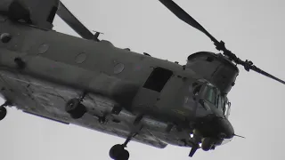 RAF Chinook | RAF Cosford Airshow 2022