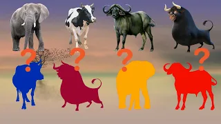 puzzle cute animals bull, elephant, cow and buffalo, choose the right