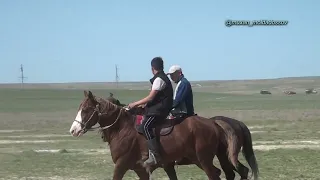 Жаңақорған ауданы Қосүйеңкі ауылы Әбдіразақ көкеміздің елден бата алу көкпары