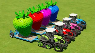 TRANSPORT STRAWBERRY WITH COLORED CLAAS TRACTORS DEATH RUN - Farming Simulator 22