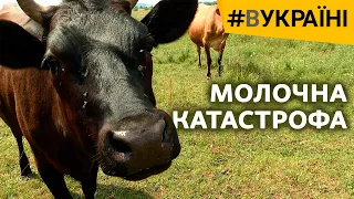 Молочна катастрофа | #ВУКРАЇНІ