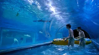 Insane Shark Water Slide at Aquapark Reda