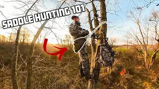 Saddle Hunting 101 - EVERYTHING YOU NEED TO KNOW!!
