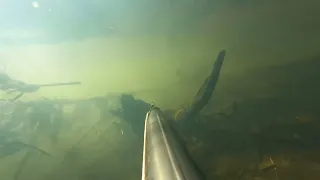 Подводная охота 2022г. Река Дон.