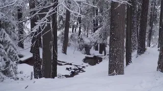 'Winter Storm' causing heavy snowfall in Northern California amid start of spring