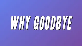 Peabo Bryson - Why Goodbye (Lyrics)