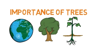 Importance of trees - Facts about trees for kids - Why do we need trees - Simply E-learn kids