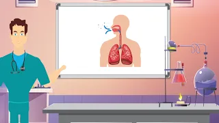 جهاز التنفس عند الإنسان للأطفال - Respiratory System For Kids