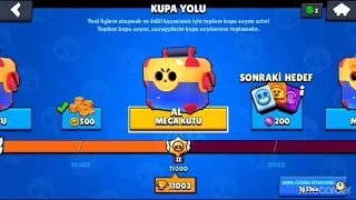 Brawl stars mega kutu açılımı🌼