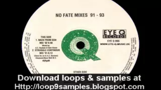 Zyon - No Fate (No Fate Mix '93)