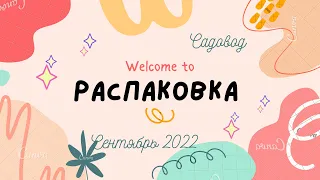 Закупка с Садовода. Мешок 63кг. Грязные тапочки ☹️ стильные зимние вещи