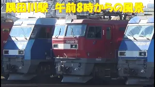 【東京都内にある貨物駅】＝隅田川駅😀朝8時からの風景撮影🚂