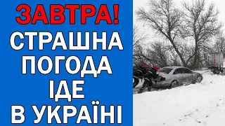 ПОГОДА НА 22 СІЧНЯ : ПОГОДА НА ЗАВТРА