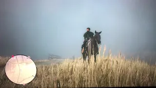 The Fame seeker Red Dead Online Update