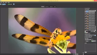 Helicon Focus - Photoshop Lightroom integration