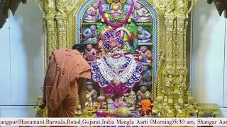 Sandhya Aarti Darshan Salangpur Date 08 05 2023