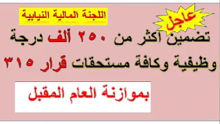 اللجنة المالية النيابية تضمين أكثر من 250 ألف درجة وظيفية وكافة مستحقات قرار 315 بموازنة عام 2021