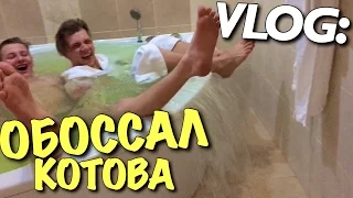 VLOG: ПОКАЗАЛ ПИСЮН и ОБОССАЛ КОТОВА / Андрей Мартыненко