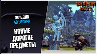 Гильдия 40 уровня и новые предметы [New Dragon Nest]