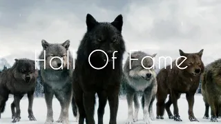 Twilight Wolves-Hall of fame