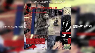 Гарик Сукачёв & Неприкасаемые - За окошком месяц май (Лучшее) (Аудио)