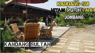 KANDANG SNI HITAM PUTIH FARM❗